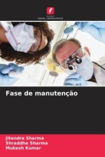 Fase de manutenç?o