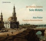 Solo Motetten ZWV 29, 53/6, 63, 126, 164, 171 & 209