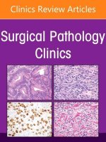 Genitourinary Pathology, an Issue of Surgical Pathology Clinics: Volume 15-4