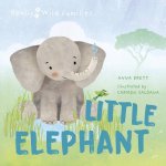 Little Elephant: A Day in the Life of a Elephant Calf