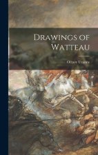 Drawings of Watteau