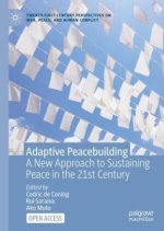 Adaptive Peacebuilding
