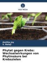 Phytat gegen Krebs: Wechselwirkungen von Phytinsäure bei Krebszielen