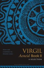 Virgil, Aeneid II: A Selection