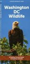 Washington DC Wildlife: A Folding Pocket Guide to Familiar Animals