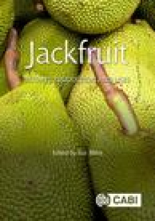 Jackfruit ()
