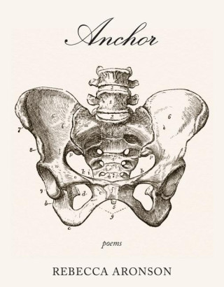 Anchor