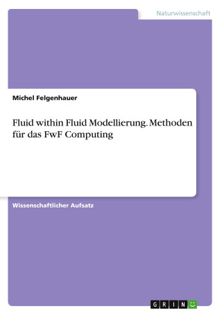 Fluid within Fluid Modellierung. Methoden für das FwF Computing