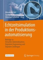 Echtzeitsimulation in der Produktionsautomatisierung