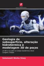 Geologia de subsuperfície, alteraç?o hidrotérmica e modelagem 3D de poços