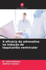 A eficácia da adrenalina na induç?o de taquicardia ventricular