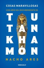 Cosas Maravillosas. Cien A?os del Descubrimiento de Tutankhamón / The Discovery of Tutankhamun's Tomb
