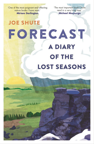 Forecast