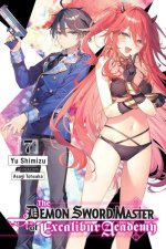 Demon Sword Master of Excalibur Academy, Vol. 7 (light novel)