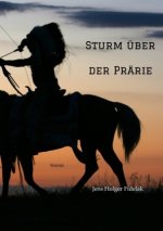 Sturm über der Prärie