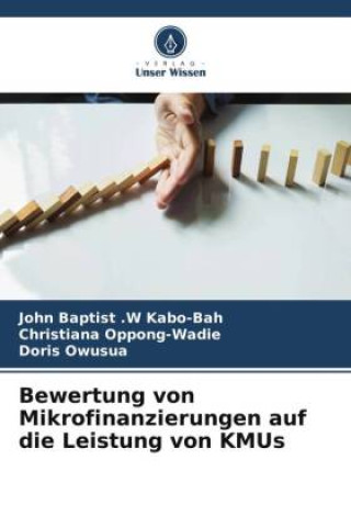 Bewertung von Mikrofinanzierungen auf die Leistung von KMUs