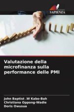Valutazione della microfinanza sulla performance delle PMI