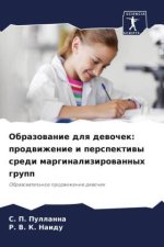 Obrazowanie dlq dewochek: prodwizhenie i perspektiwy sredi marginalizirowannyh grupp
