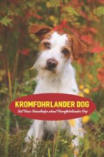 Kromfohrlander Dog