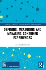 Defining, Measuring and Managing Consumer Experiences
