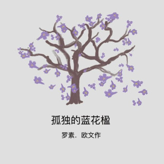 Lonely Jacaranda