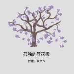 Lonely Jacaranda