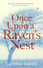 Once Upon a Raven's Nest