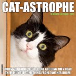 Cat-Astrophe 2023 Wall Calendar