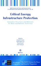 CRITICAL ENERGY INFRASTRUCTURE PROTECTIO