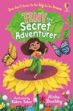 Tiny, the Secret Adventurer