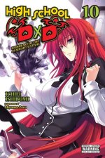 High School DxD, Vol. 10 (light novel)