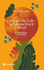Ein auf die Erde gefallenes Stück Mond