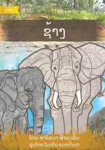 Elephant - ຊ້າງ