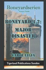 Boneyard 4,2