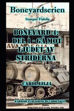 Boneyard 4,1