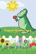 Dragons Drawing book