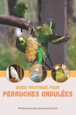 Guide pratique pour perruches ondulees