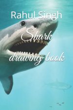 Shark drawing book