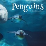 Penguins, A No Text Picture Book