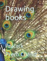 Drawing books
