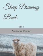 Sheep Drawing Book