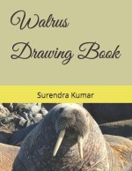 Walrus Drawing Book