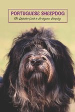 Portuguese Sheepdog