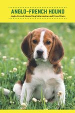 Anglo-French Hound