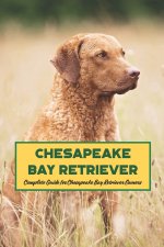 Chesapeake Bay Retriever