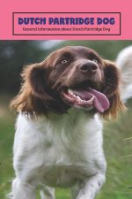 Dutch Partridge Dog