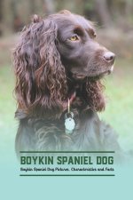 Boykin Spaniel Dog