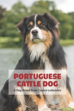 Portuguese Cattle Dog