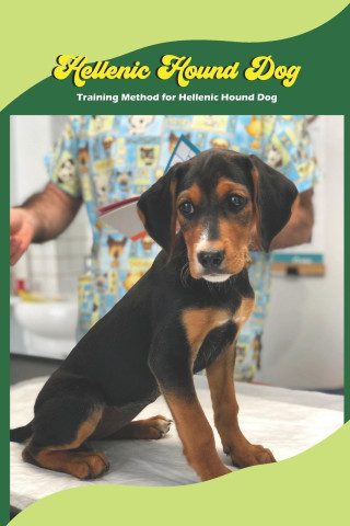Hellenic Hound Dog