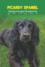 Picardy Spaniel